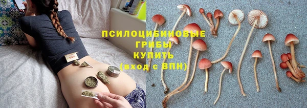 гидропоника Весьегонск