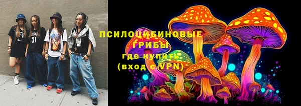 2c-b Надым