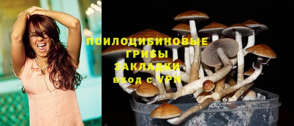 2c-b Надым