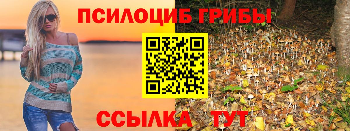 Псилоцибиновые грибы Psilocybe  Вход с VPN  Псилоцибиновые грибы Psilocybe  Старая Купавна 